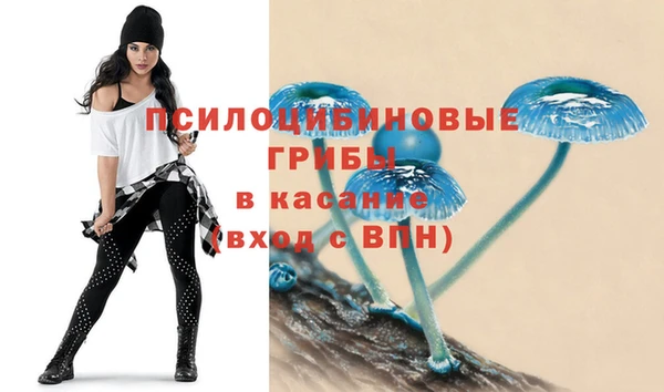 каннабис Ладушкин
