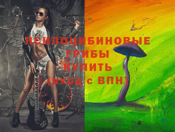 spice Лабытнанги
